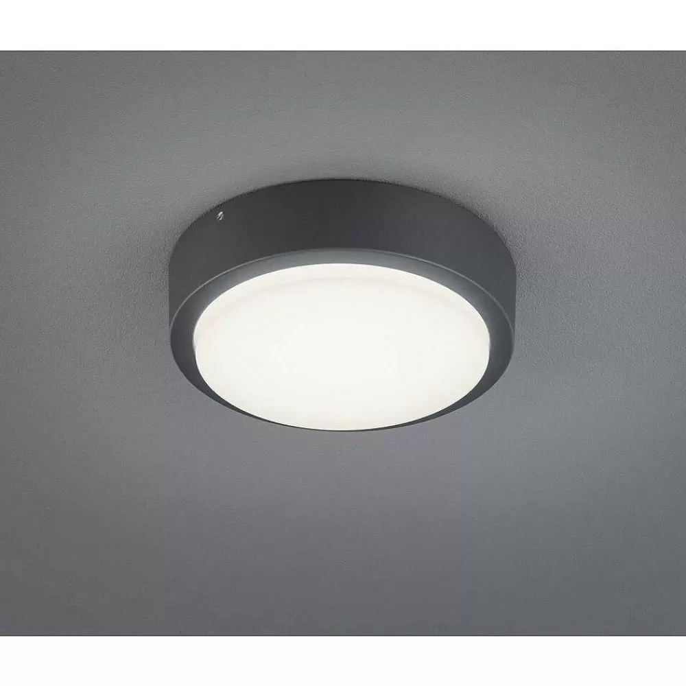 Luminaires Trio Applique Murale Trio Breg Led Anthracite, 1 Lumiere