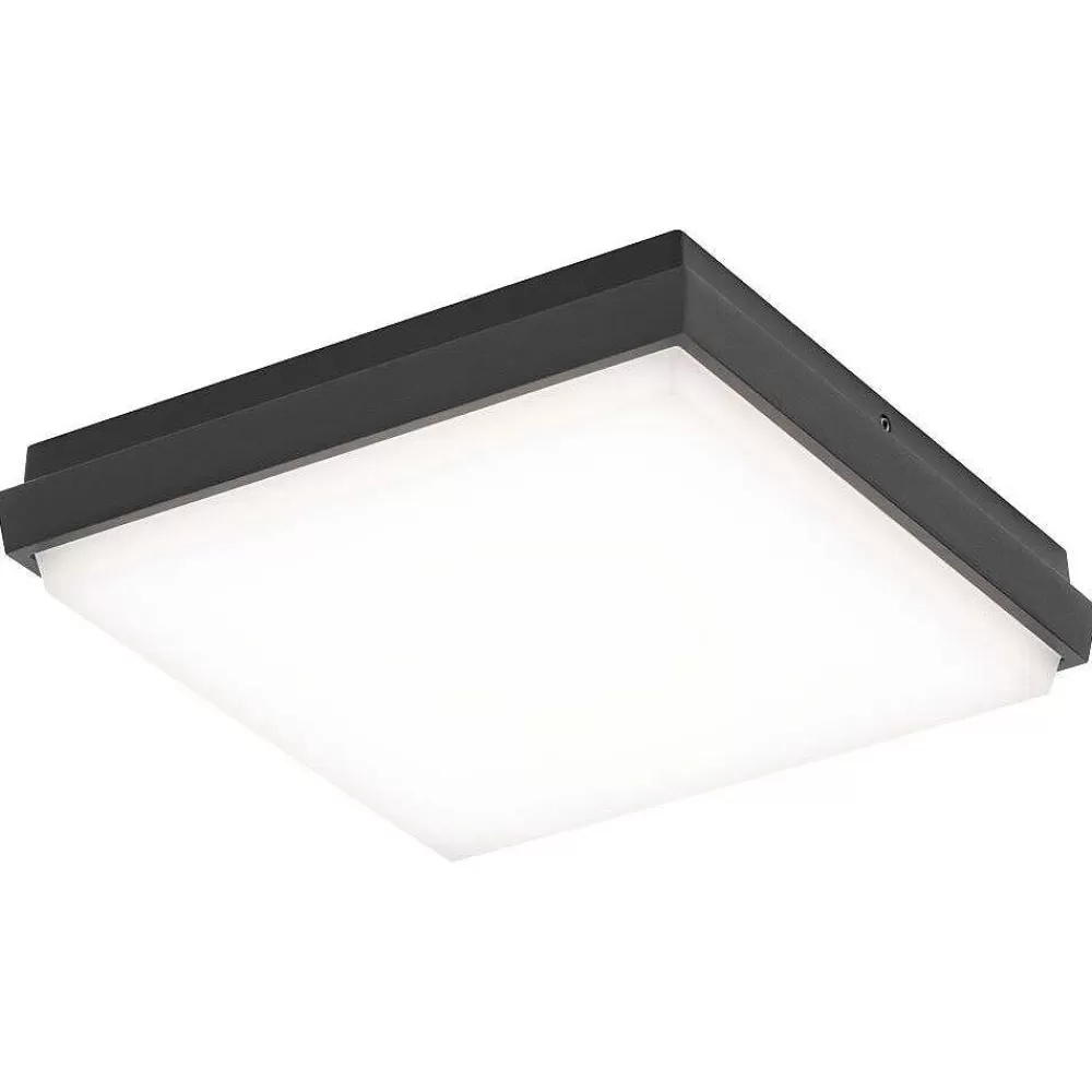 Luminaires LCD Plafonnier Exterieur Lcd Typ 5060 Led Noir, 1 Lumiere