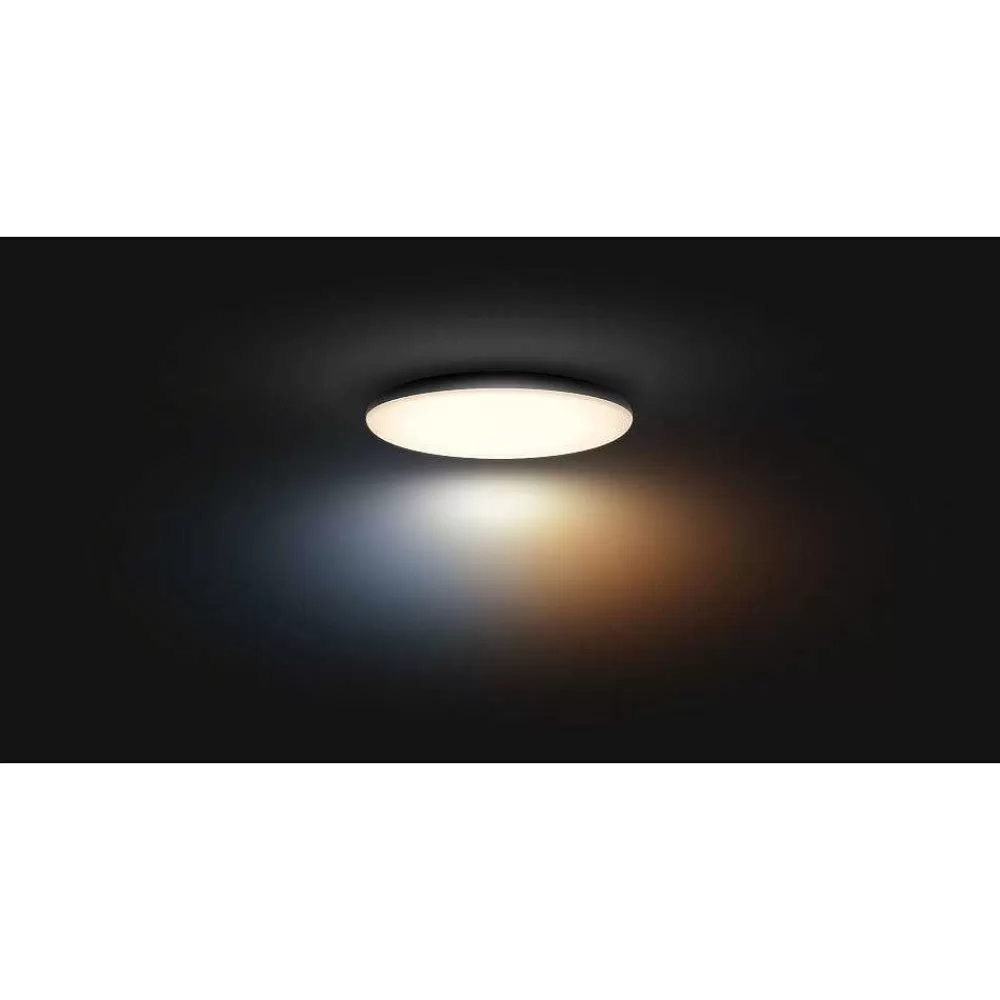 Luminaires Philips Plafonnier Philips Hue Cher Led Noir, 1 Lumiere, Telecommandes