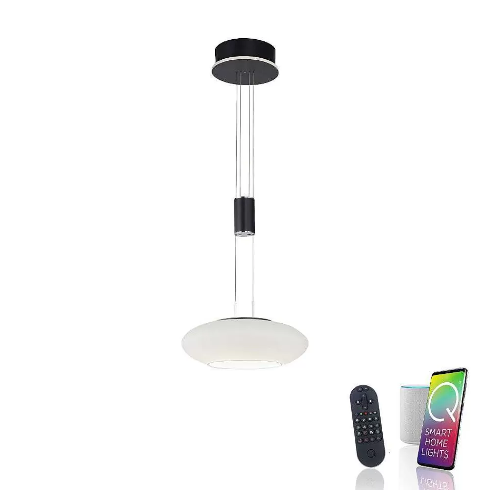 Paul Neuhaus Q-Serie Suspension Paul Neuhaus Q-Etienne Led Noir, 1 Lumiere, Telecommandes