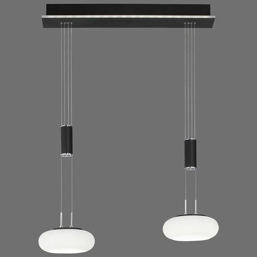 Paul Neuhaus Q-Serie Suspension Paul Neuhaus Q-Etienne Led Noir, 2 Lumieres, Telecommandes